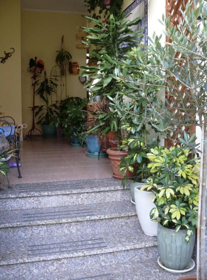 Lovely Flat In Northern Sardinia Valledoria  Exteriör bild